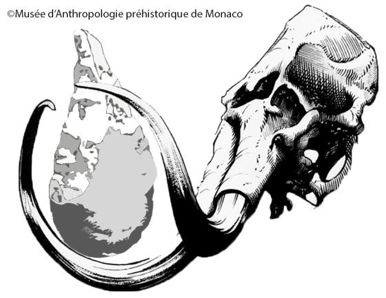 Sortie au Musée d’Anthropologie Préhistorique de Monaco