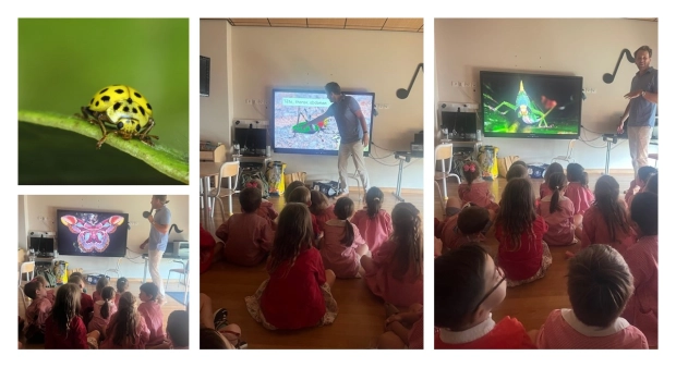 Présentation par M. Duborget des insectes